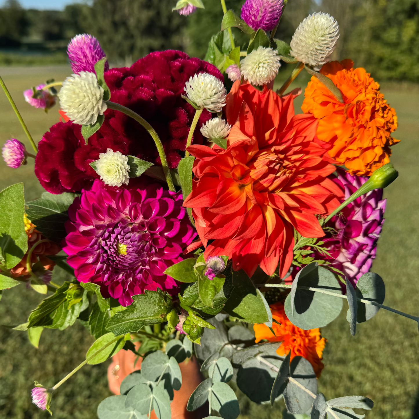 Farm Fresh Growers Bunch