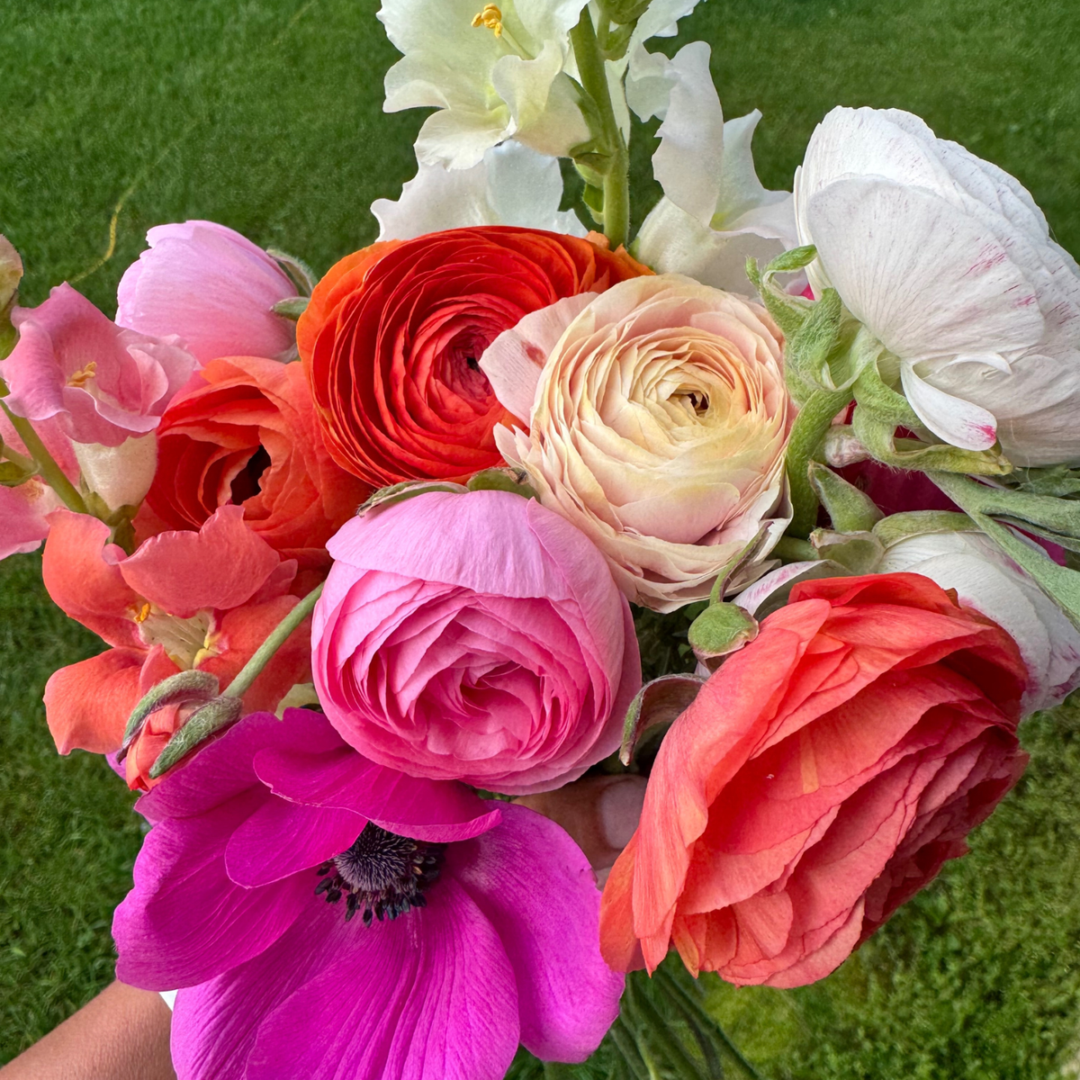 2027 Late Spring Flower Share (4 weeks)