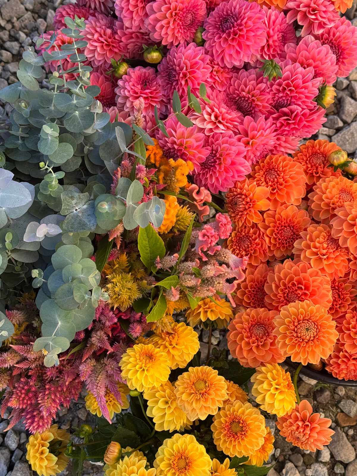 Mixed Seasonal Flower Buckets - Now Booking 2027