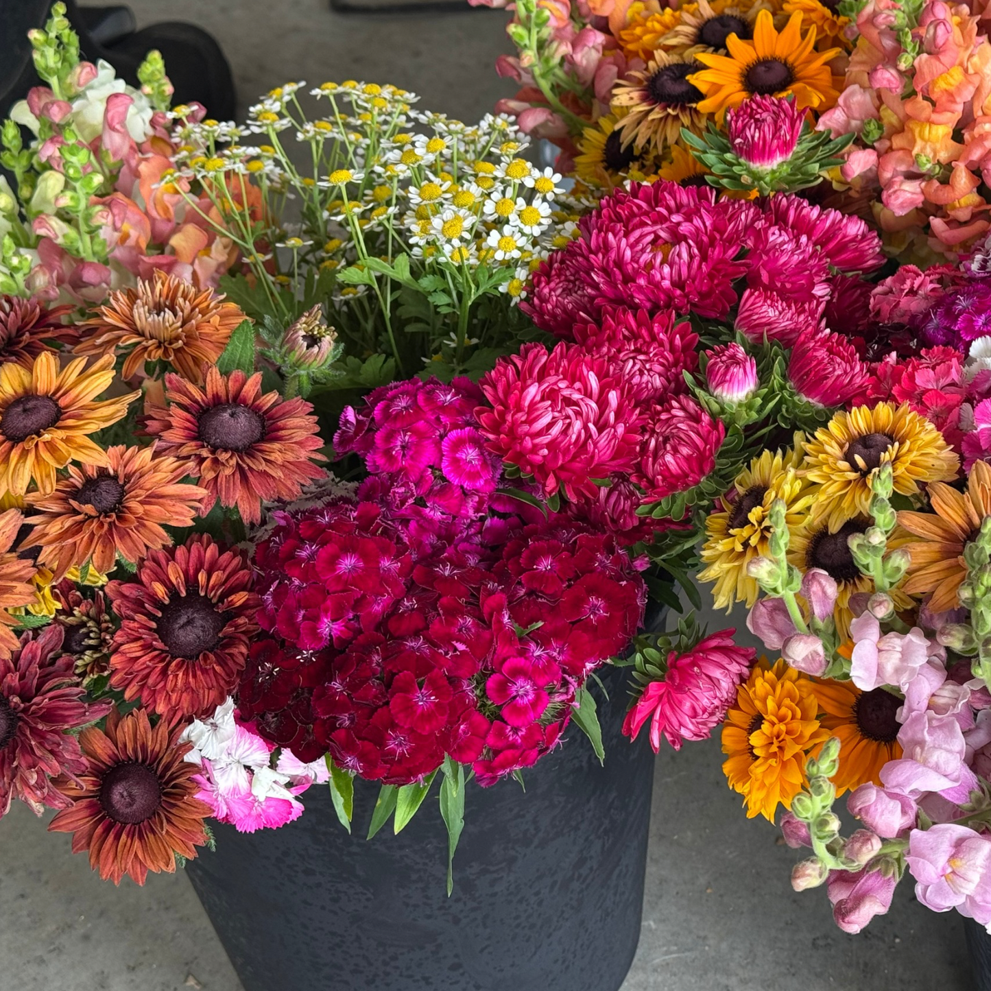 Mixed Seasonal Flower Buckets
