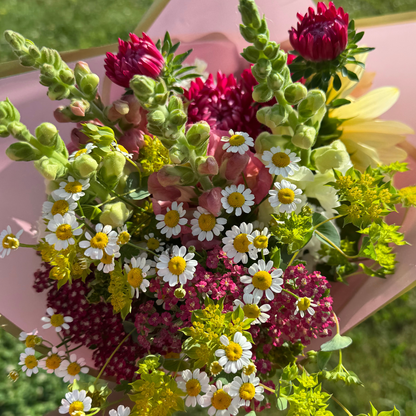 2026 Summer and Fall Flower Shares (10 weeks)