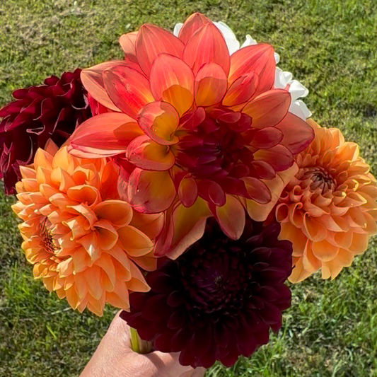 HOCO Bouquet