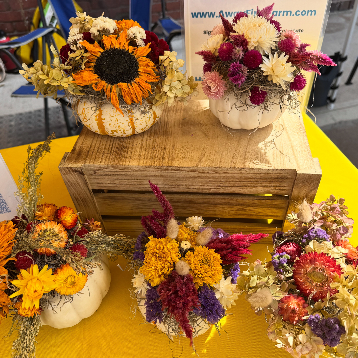Dried Mini Pumpkin Arrangements