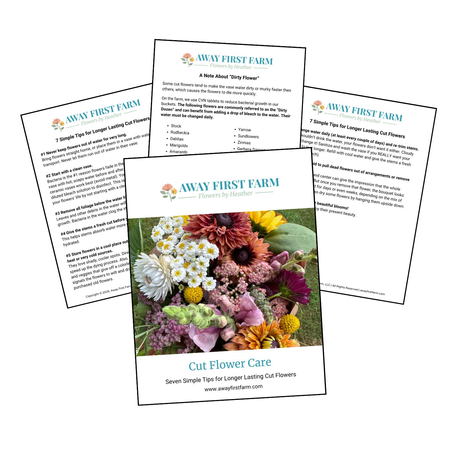 Cut Flower Care Tips