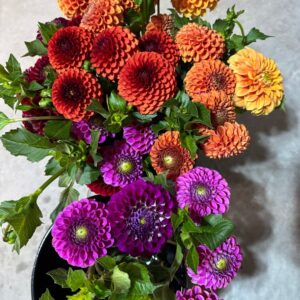 2026 Fall Blooms Sampler (Monthly - Pick-up)