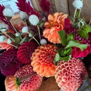 2026 Fall Flower Shares (5 weeks)