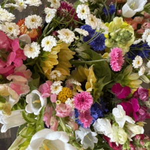 2026 Summer Bloom Sampler (Monthly - Pick Up)