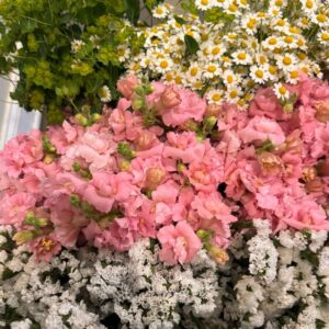 2026 Mixed Seasonal Flower Buckets