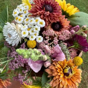 2026 Summer Flower Shares (5 weeks)