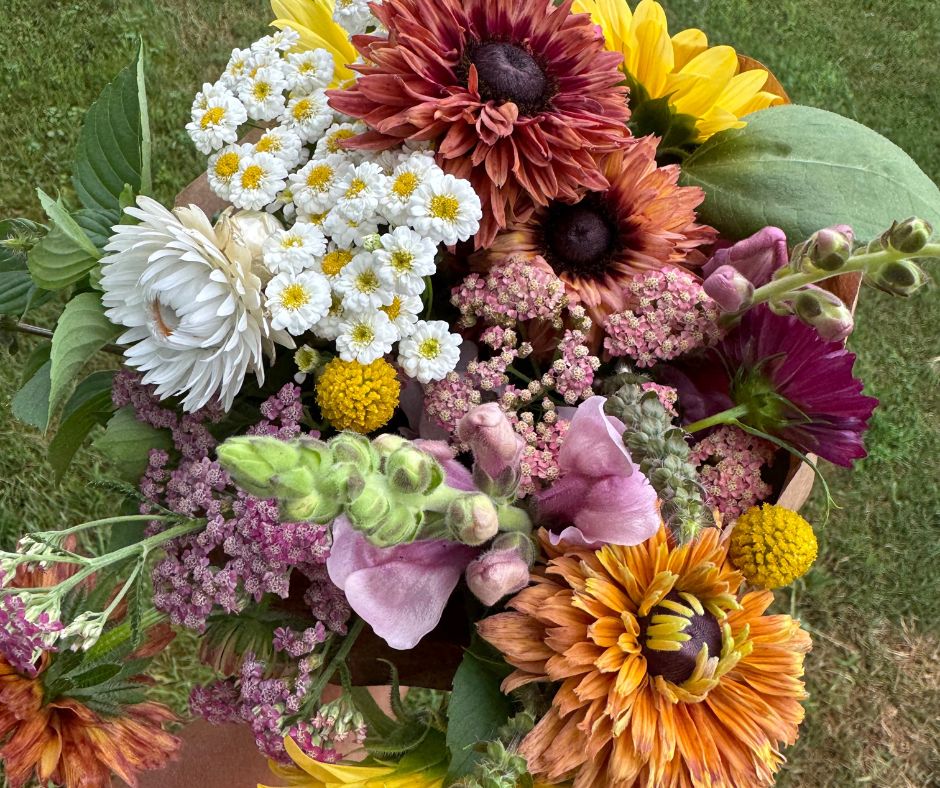 2026 Summer Flower Shares (5 weeks)